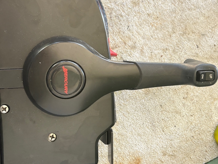 Mercury F 80 EFI