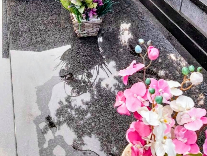 Obiteljska grobnica + jednostruka niša