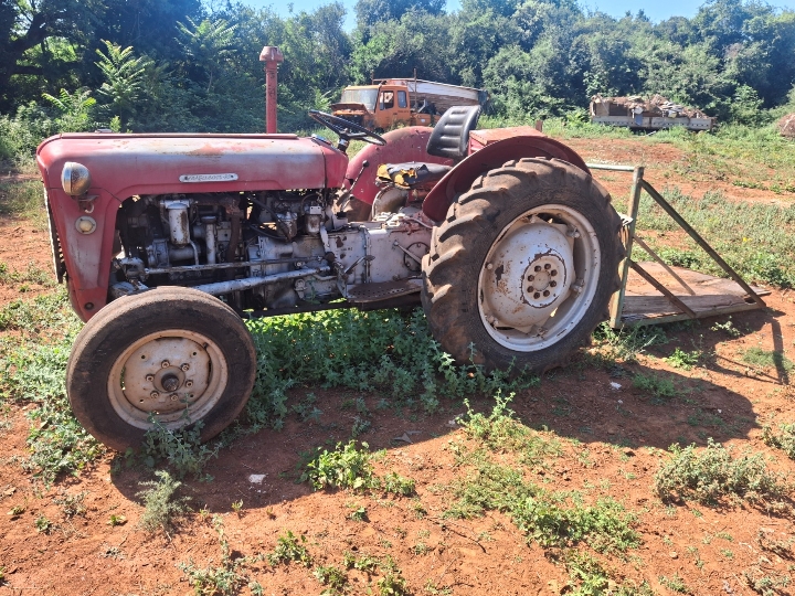 Ferguson 35