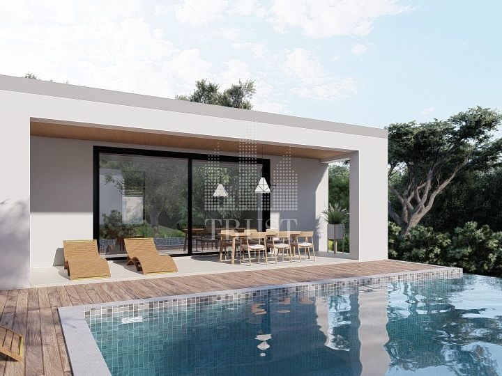 Nedešćina – Luksuzna premium vila s grijanim infinity bazenom