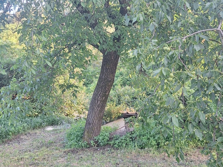 Kuća na Viskovu