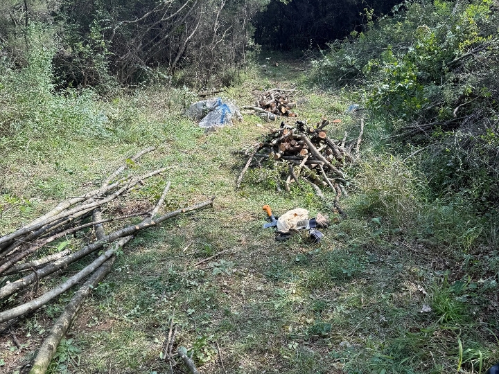 Otok Krk poljop. Zemljište blizu mora