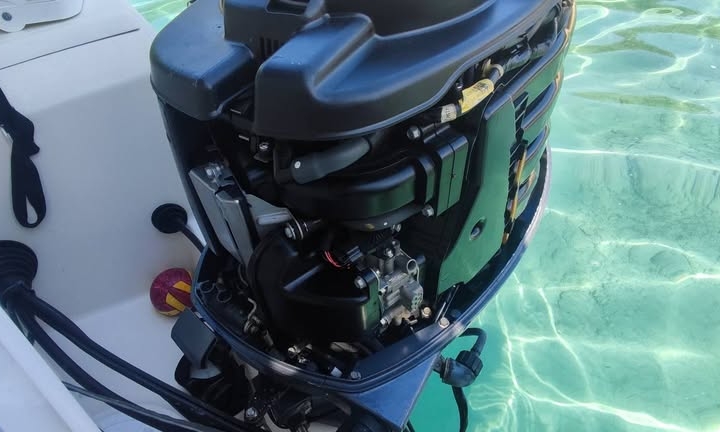 Merry Fisher 645
