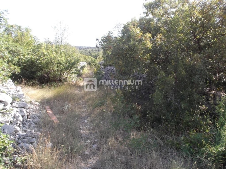 Selce, 2.126m2 poljoprivrednog zemljišta