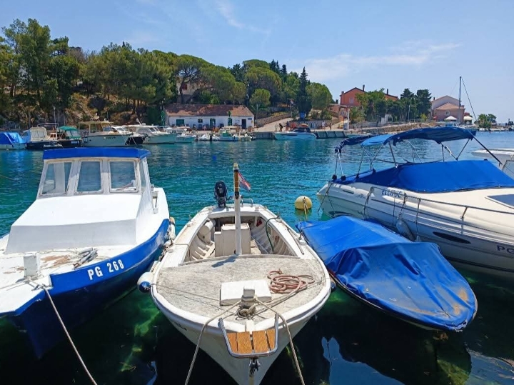 Zemljište Mandre, otok Pag