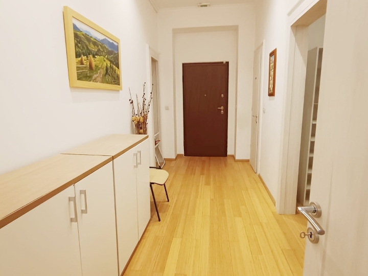 Centar, Brajda, 78 m2, 1S+DB, novonamješten