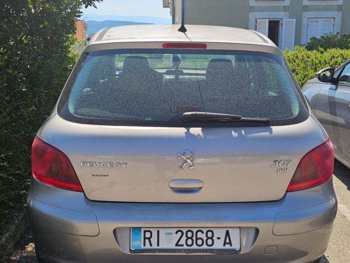 Peugeot 307, HDI 2.0
