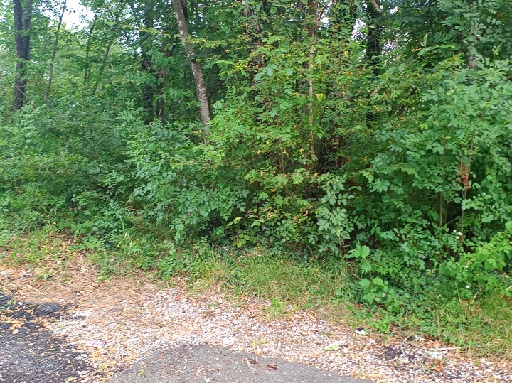 Marčelji, građ. zemljište 2.130 m2, 90.000€