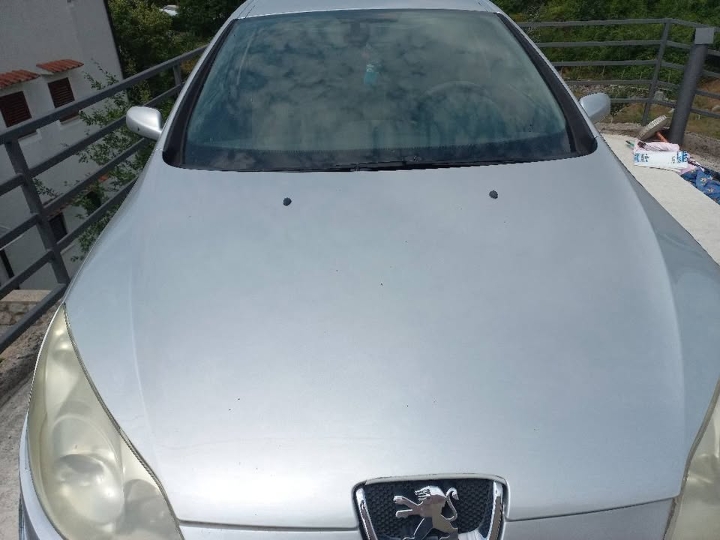 Peugeot 407