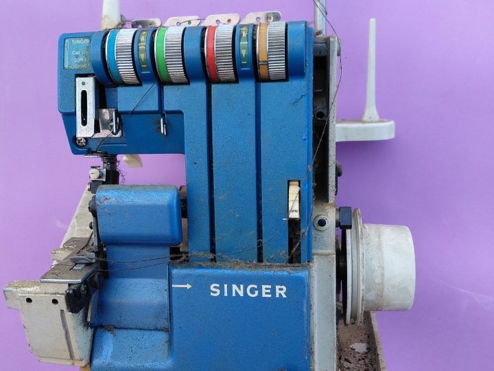 Endlerica singer