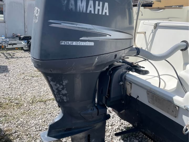 Sessa Dorado 22