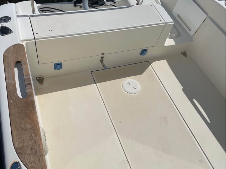 Sessa Dorado 22