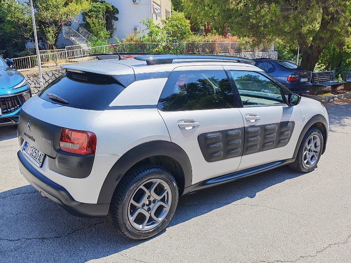 C4 Cactus 1.2 THP 110 Essence