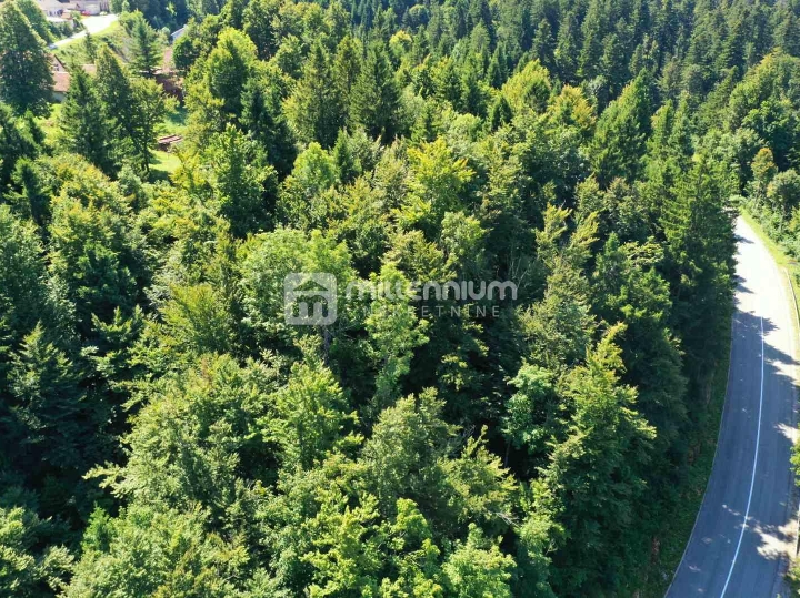 Lokve, 3.072 m2 građevinskog zemljišta