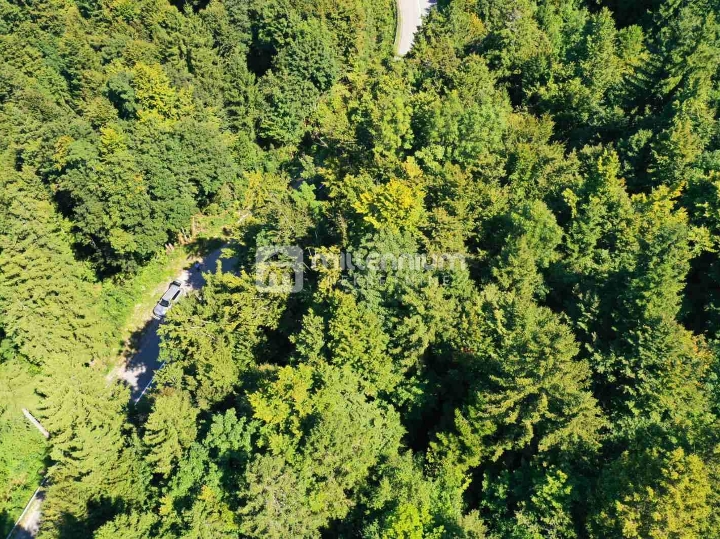 Lokve, 3.072 m2 građevinskog zemljišta