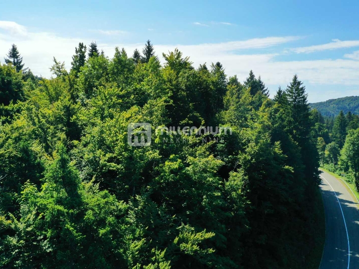 Lokve, 3.072 m2 građevinskog zemljišta