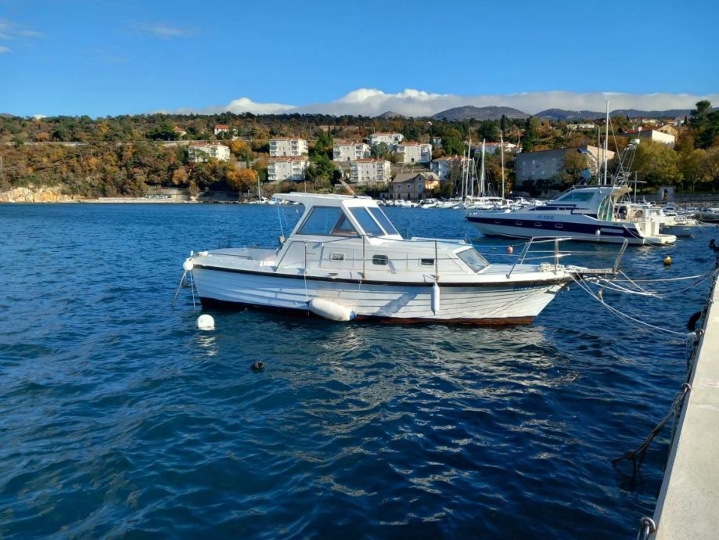 Motorna brodica Adriatik 7,9