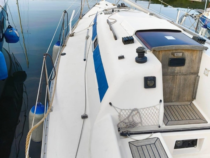 Jedrilica Elan 295 sport