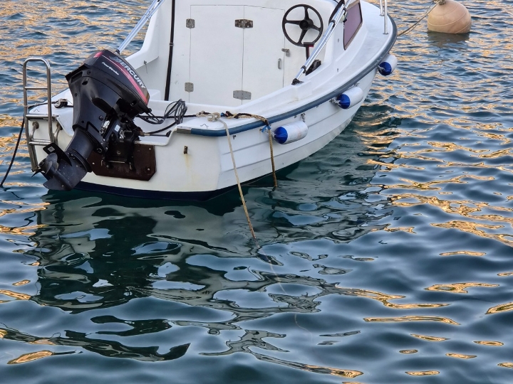 Adria 500