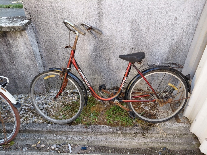 Bicikl Pony 24
