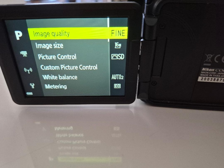 Nikon P1000