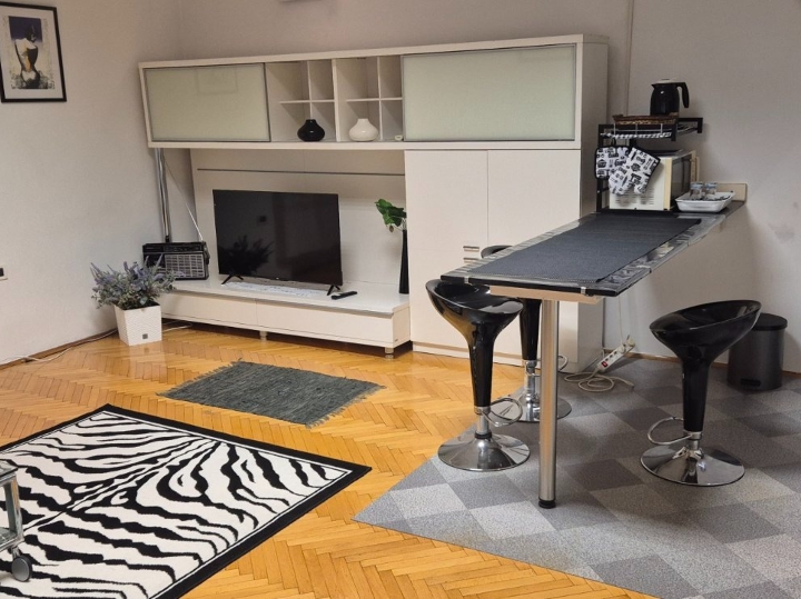 Fully furnished one-bedroom apartment - long term renting