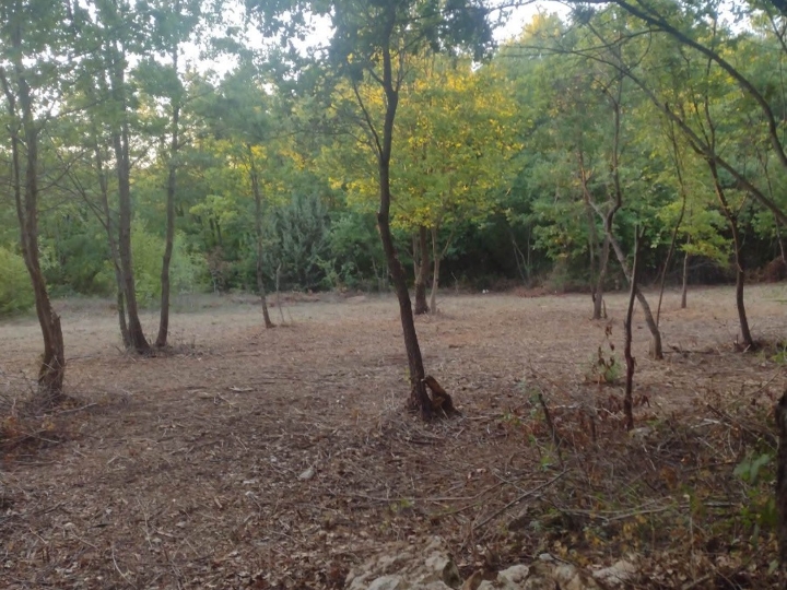 Prodaje se vikend zemljište 7500 m2 Istra , 8 km more