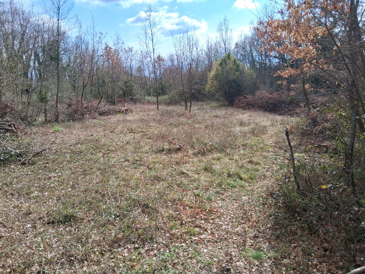 Prodaje se vikend zemljište 7500 m2 Istra , 8 km more