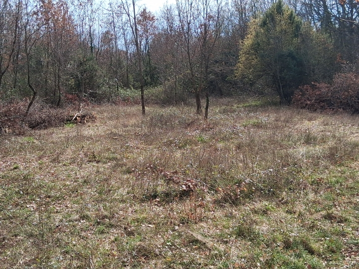 Prodaje se vikend zemljište 7500 m2 Istra , 8 km more