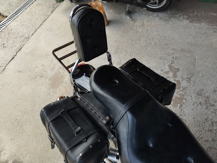Kawasaki EN500