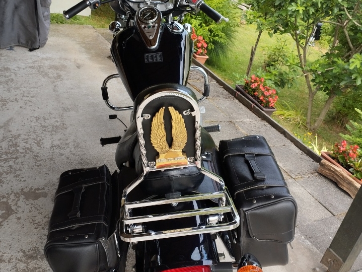 Kawasaki EN500