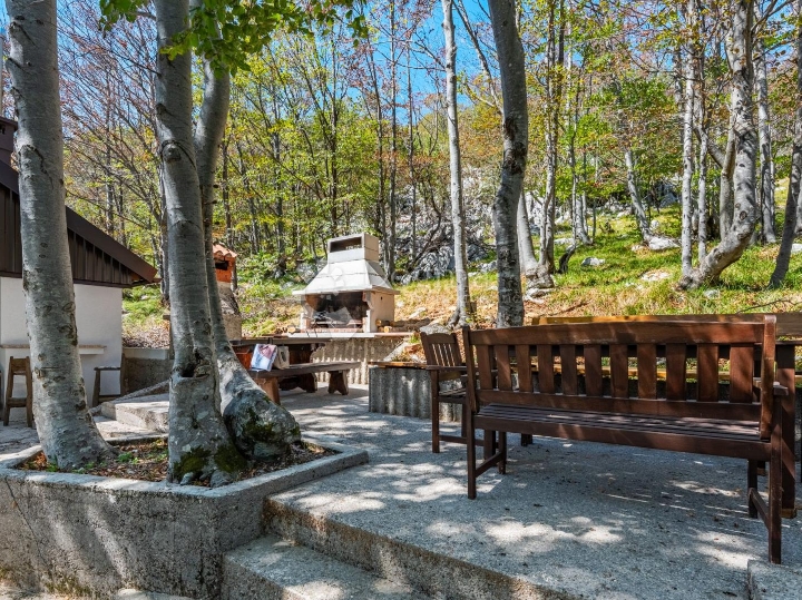 Platak – vaša mala oaza u šumi