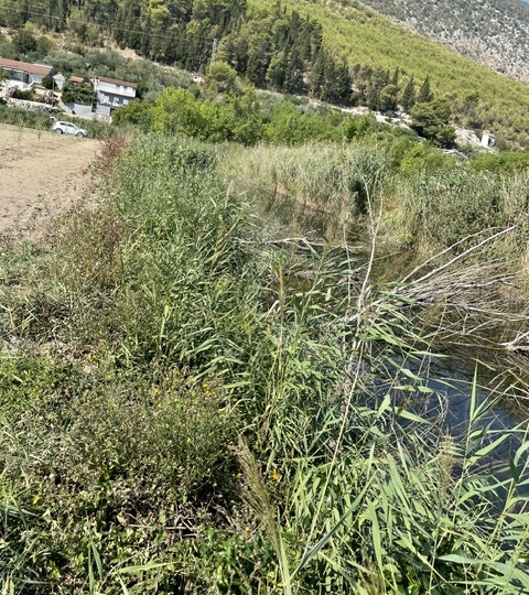 Poljoprivredno zemljište, Metković, 1903 m2