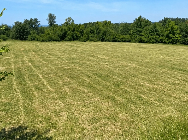 Građevinsko zemljište – sportsko-rekreacijska zona u Taru, Istra