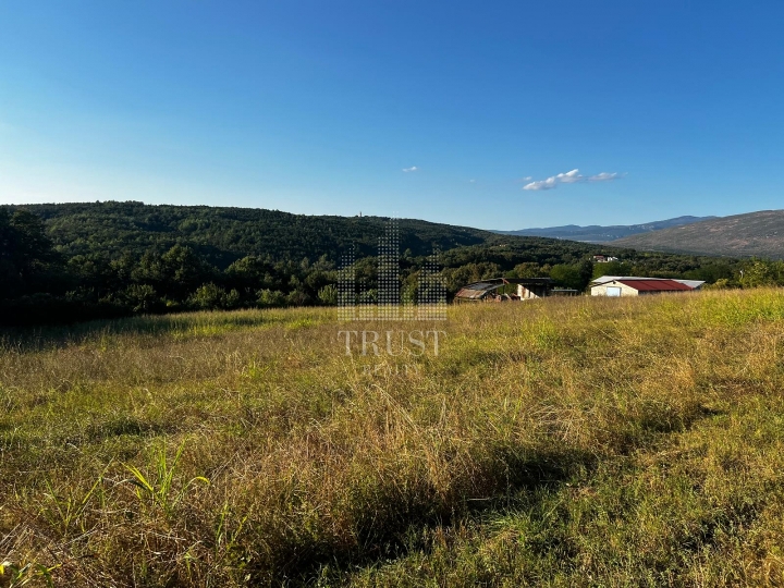 Istra, Čepić - seosko imanje s gospodarskim objektima, veliki potencijal
