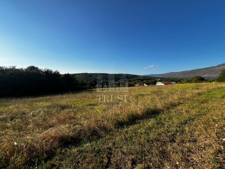 Istra, Čepić - seosko imanje s gospodarskim objektima, veliki potencijal