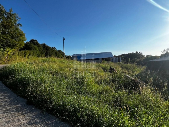 Istra, Čepić - seosko imanje s gospodarskim objektima, veliki potencijal