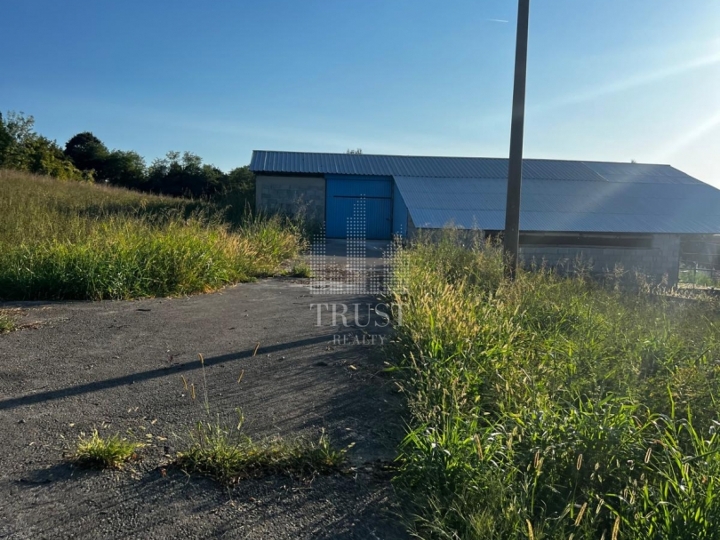 Istra, Čepić - seosko imanje s gospodarskim objektima, veliki potencijal