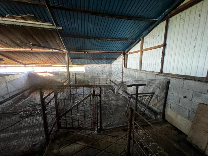 Istra, Čepić - seosko imanje s gospodarskim objektima, veliki potencijal