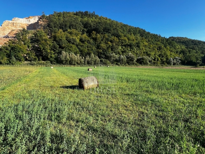 Istra, Pićan - poljoprivredno obradivo zemljište