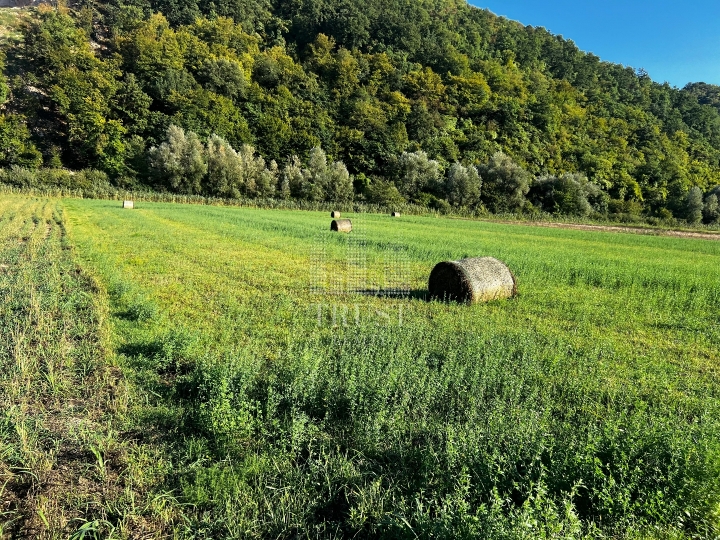 Istra, Pićan - poljoprivredno obradivo zemljište