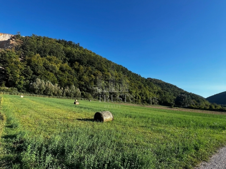 Istra, Pićan - poljoprivredno obradivo zemljište