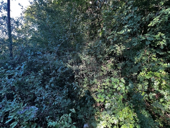 Istra, Šumber - poljoprivredno zemljište