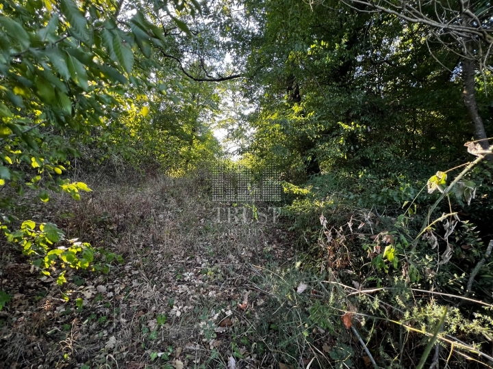 Istra, Šumber - poljoprivredno zemljište