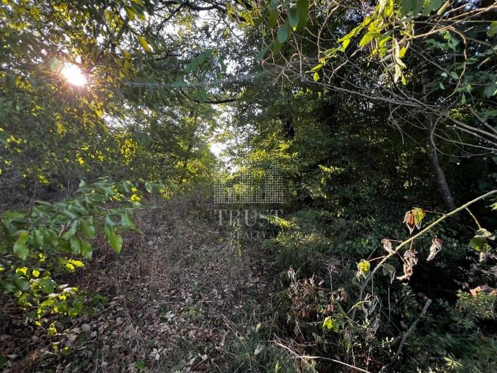 Istra, Šumber - poljoprivredno zemljište