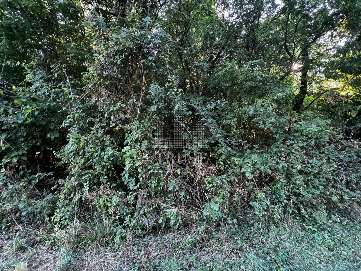 Istra, Šumber - poljoprivredno zemljište