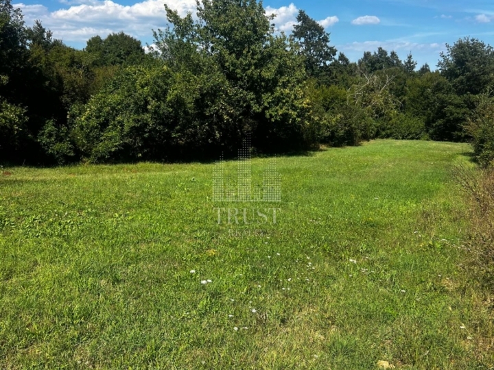 Istra, Barban - građevinsko zemljište