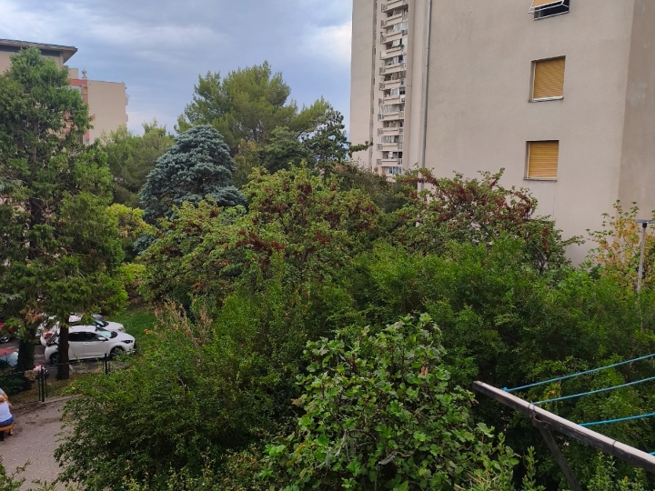 Donja Vežica, novoopremljen 1S kl. stan