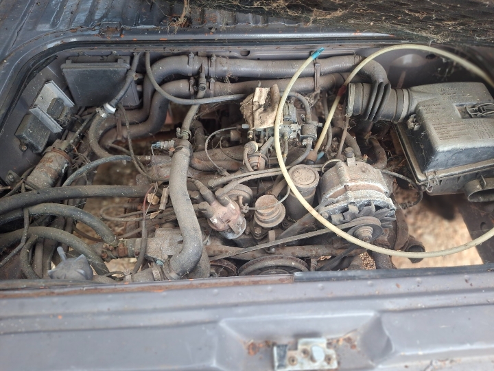 VW T3