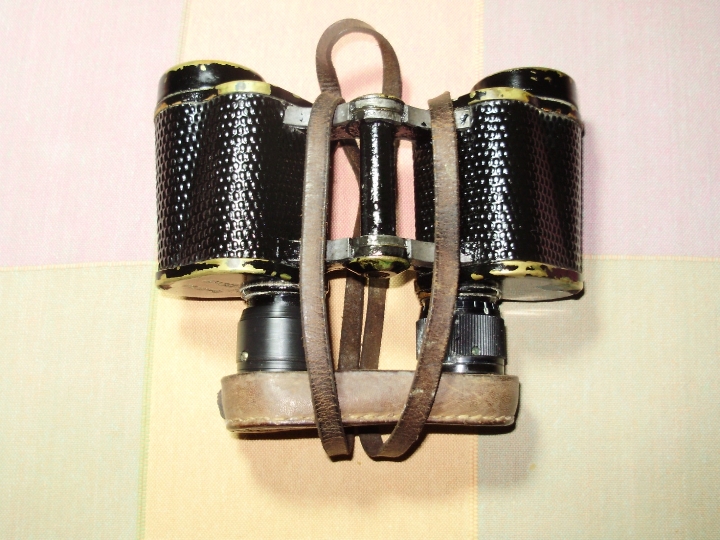 Dalekozor